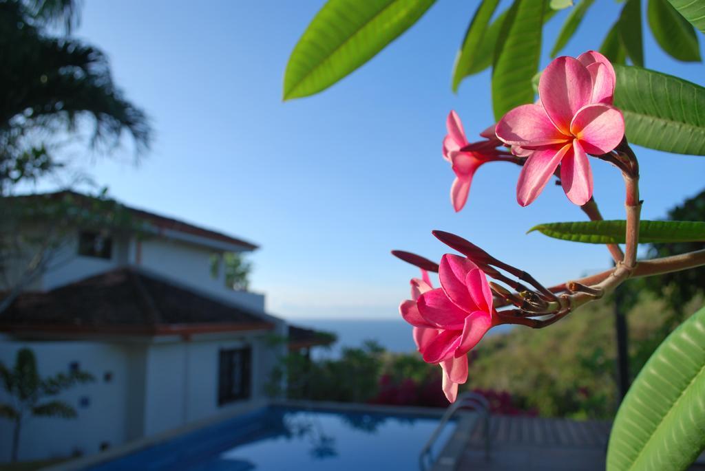 Casa Frangipani Ξενοδοχείο Montezuma Εξωτερικό φωτογραφία