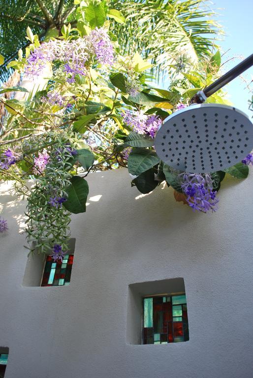 Casa Frangipani Ξενοδοχείο Montezuma Εξωτερικό φωτογραφία